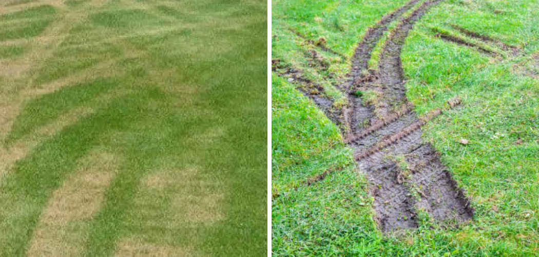 How to Fix Tire Tracks in Lawn