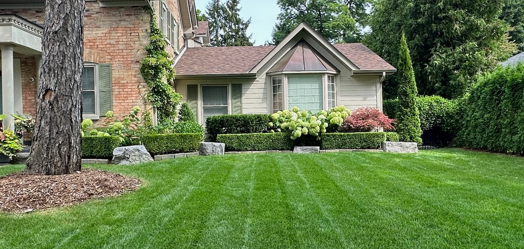 How to Get a Lush Green Lawn