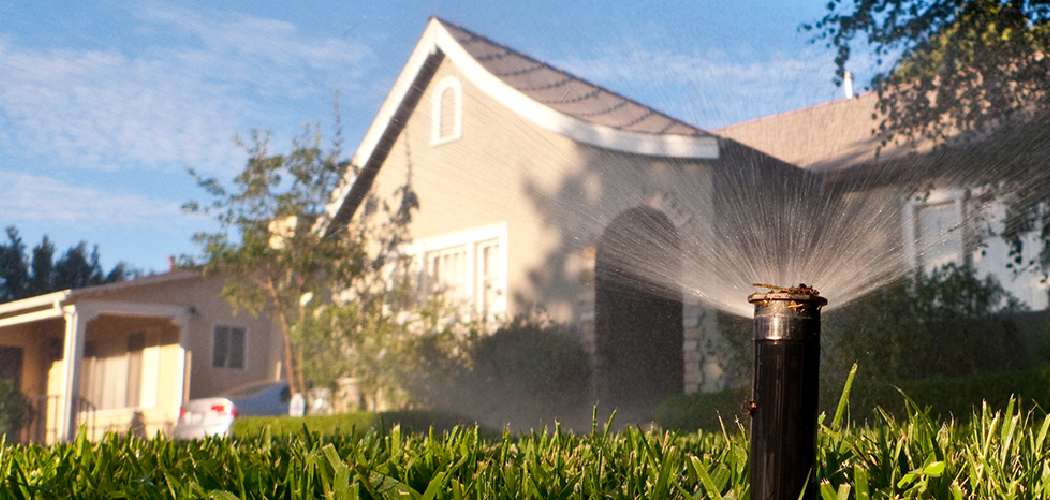 How to Hand Water Lawn