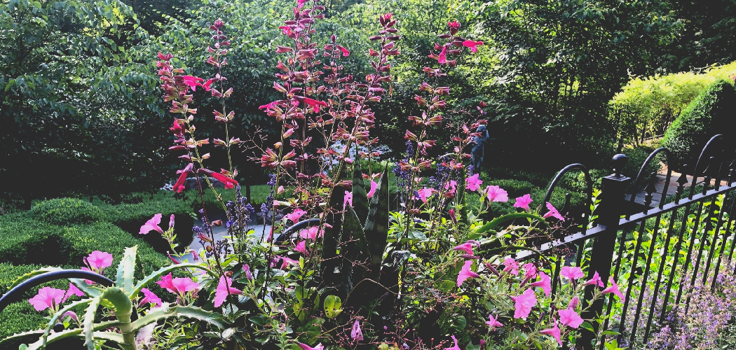 How to Improve Drainage for Orchids