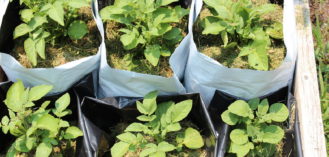 How to Mulch Grass Clippings