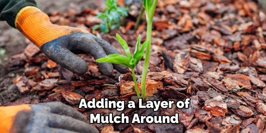 Adding a Layer of
Mulch Around