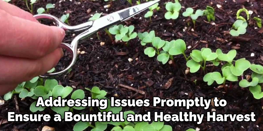 Addressing Issues Promptly to
Ensure a Bountiful and Healthy Harvest