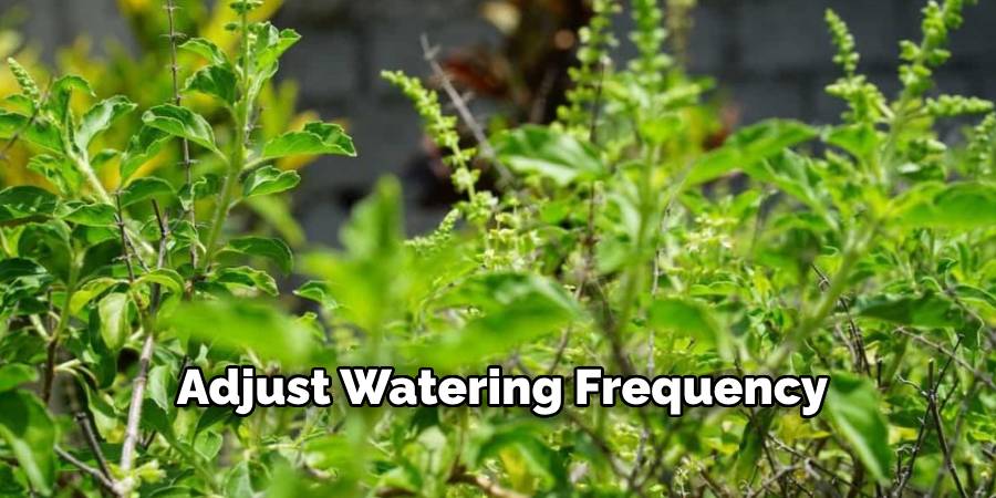 Adjust Watering Frequency