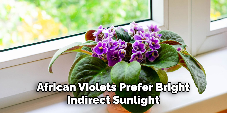 African Violets Prefer Bright
Indirect Sunlight
