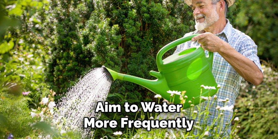 Aim to Water
More Frequently