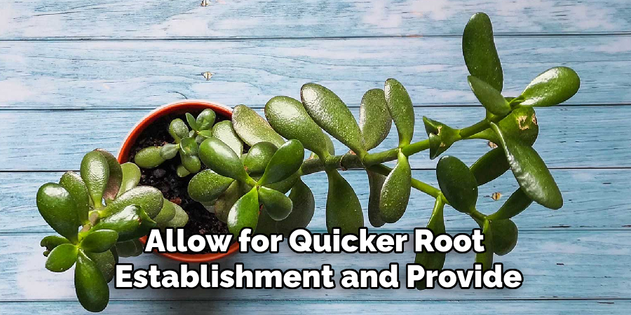 Allow for Quicker Root 
Establishment and Provide