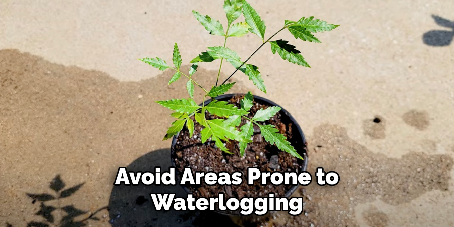 Avoid Areas Prone to
Waterlogging