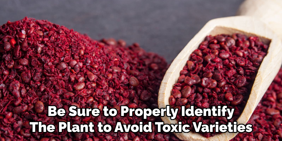 Be Sure to Properly Identify
The Plant to Avoid Toxic Varieties