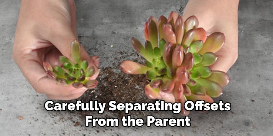Carefully Separating Offsets
From the Parent