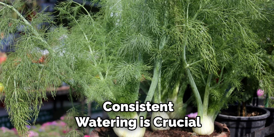 Consistent Watering is Crucial