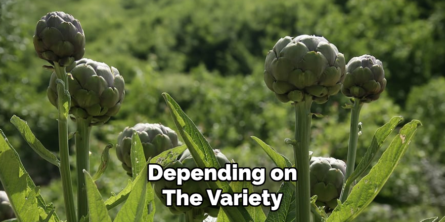 Depending on
The Variety