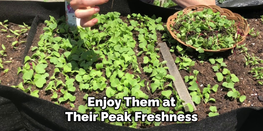 Enjoy Them at
Their Peak Freshness