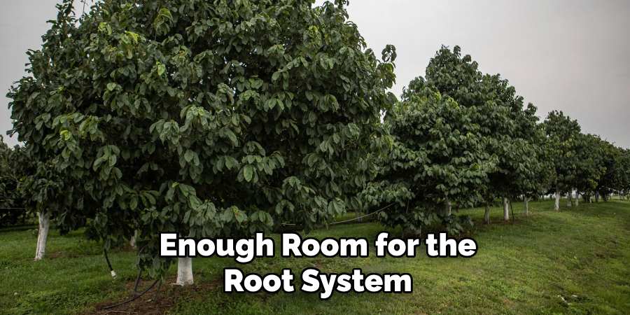 Enough Room for the
Root System