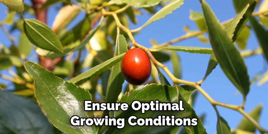 Ensure Optimal
Growing Conditions