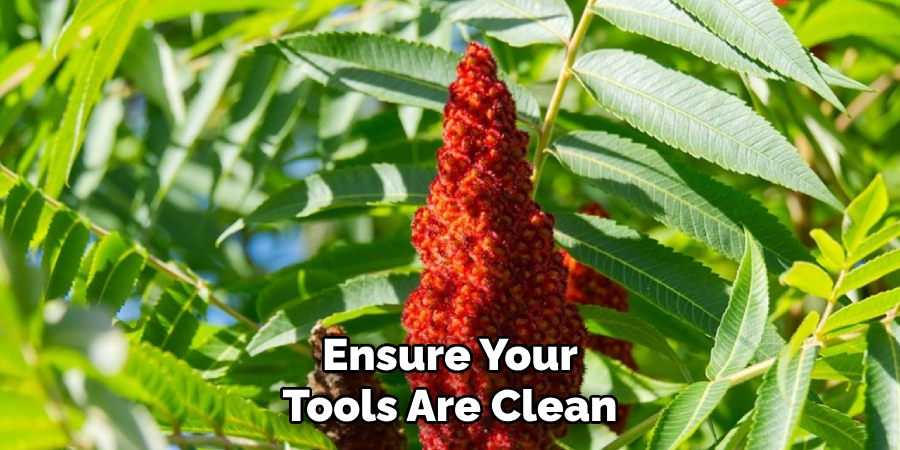 Ensure Your
Tools Are Clean
