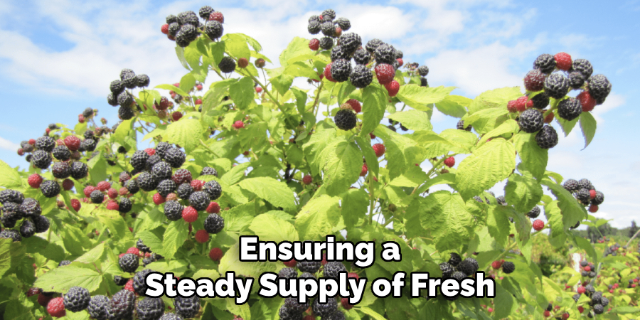 Ensuring a
Steady Supply of Fresh