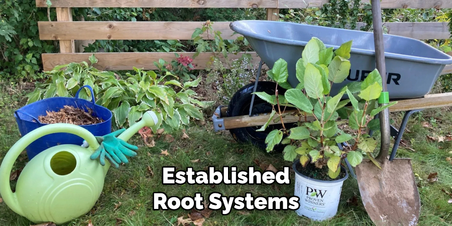 Established
Root Systems