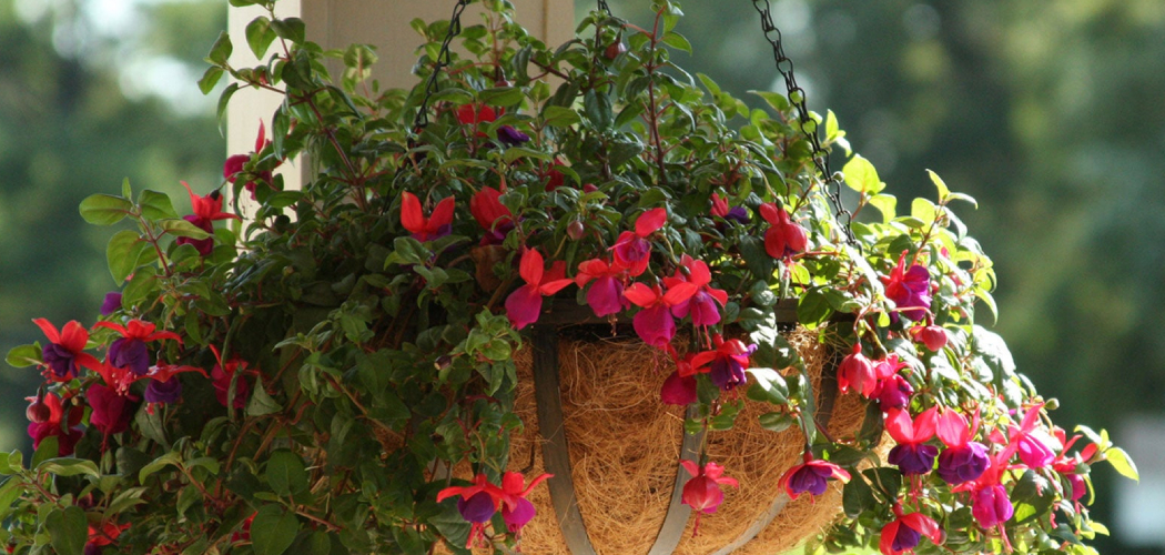 How to Use Coconut Liners for Planters