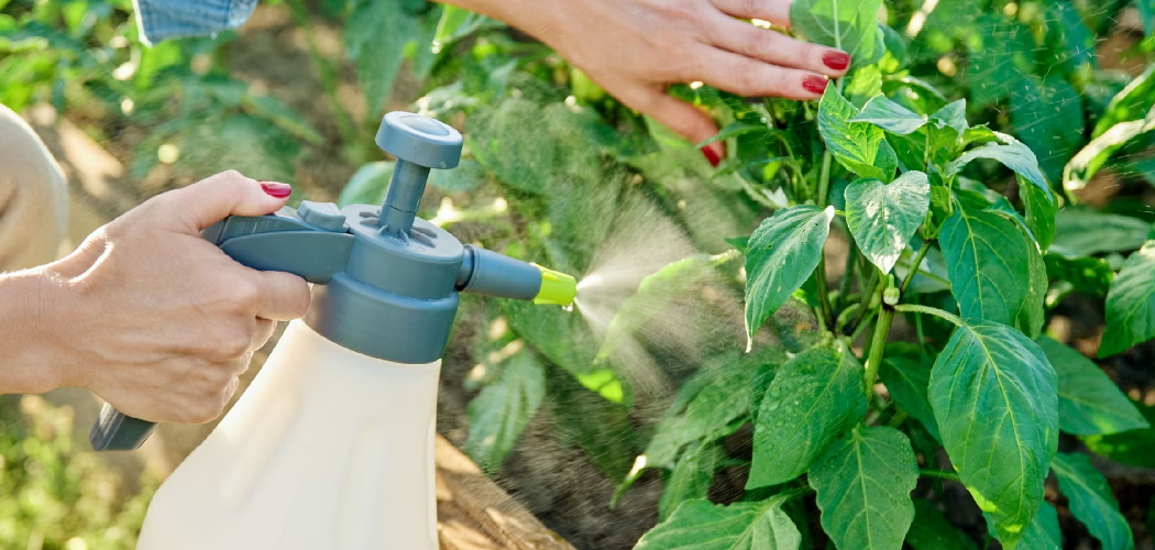How to Mix Aspirin for Plants