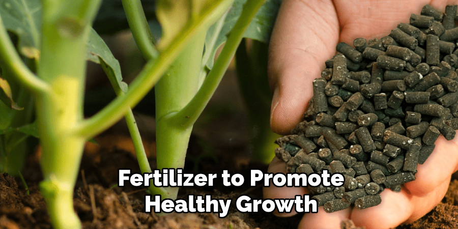 Fertilizer to Promote
Healthy Growth