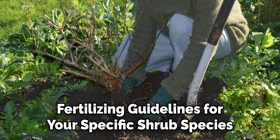 Fertilizing Guidelines for
Your Specific Shrub Species