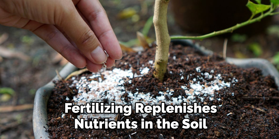Fertilizing Replenishes
Nutrients in the Soil