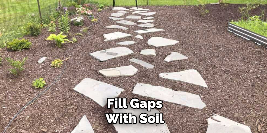Fill Gaps with Soil