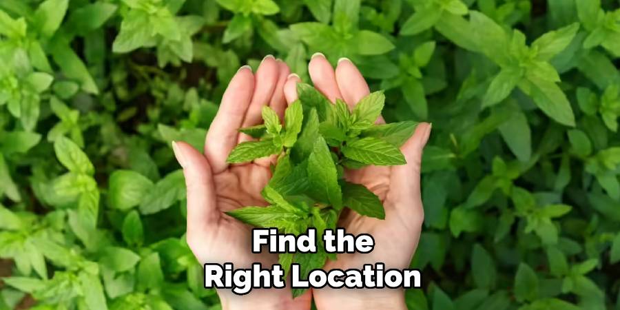 Find the Right Location