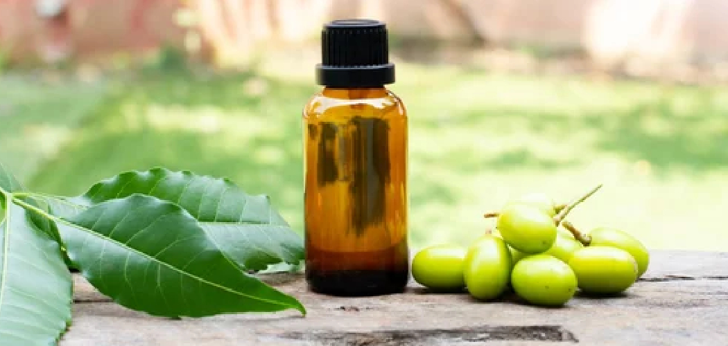 How to Mix Neem Oil for Soil Drench