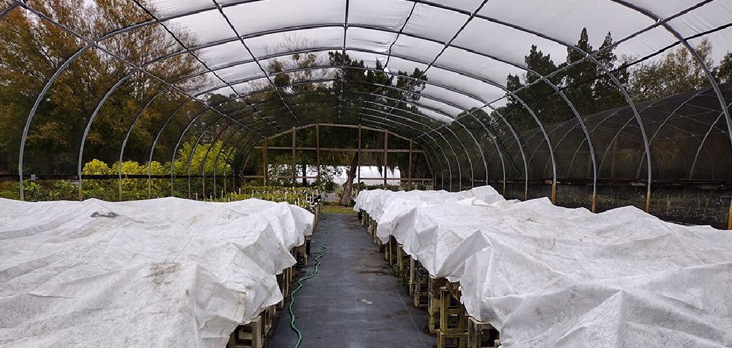 How to Protect Shrubs in Winter