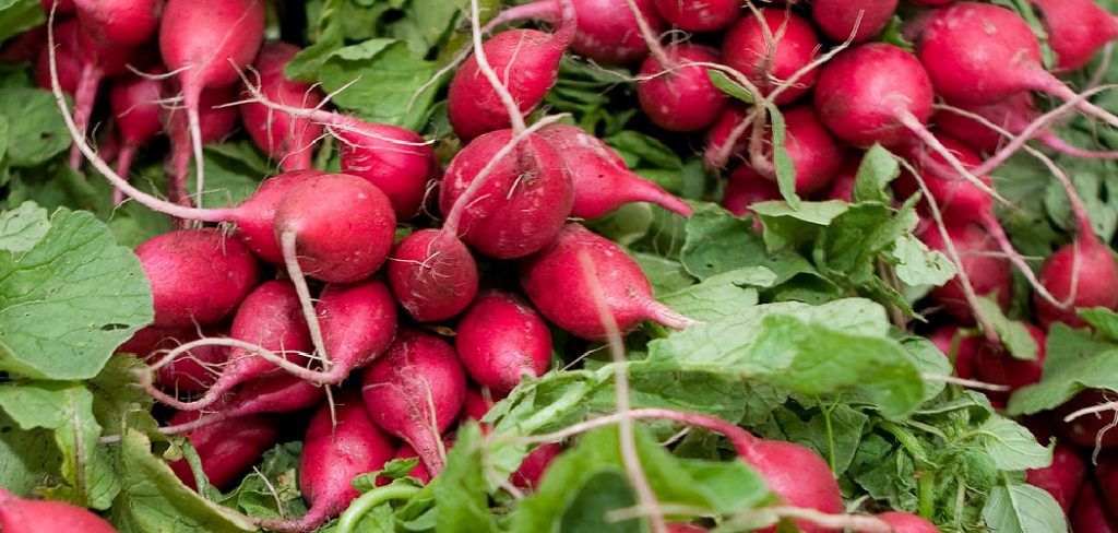 How to Thin Radish Plants