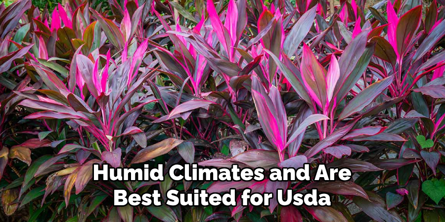 Humid Climates and Are
Best Suited for Usda