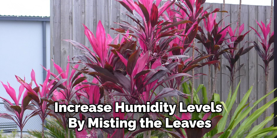 Increase Humidity Levels By Misting the Leaves