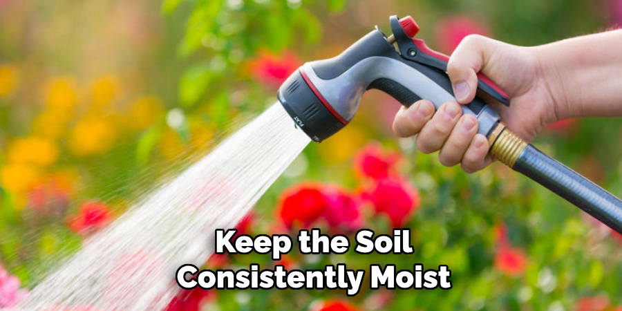 Keep the Soil
Consistently Moist