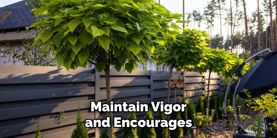 Maintain Vigor and Encourages