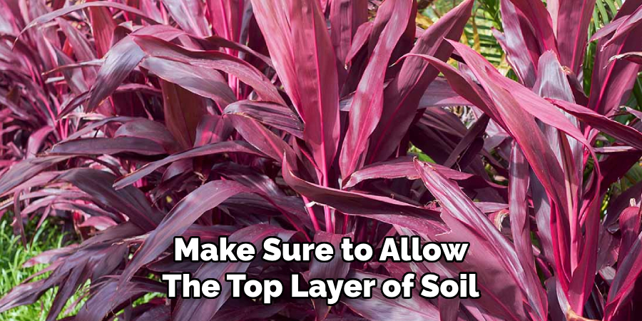 Make Sure to Allow
The Top Layer of Soil