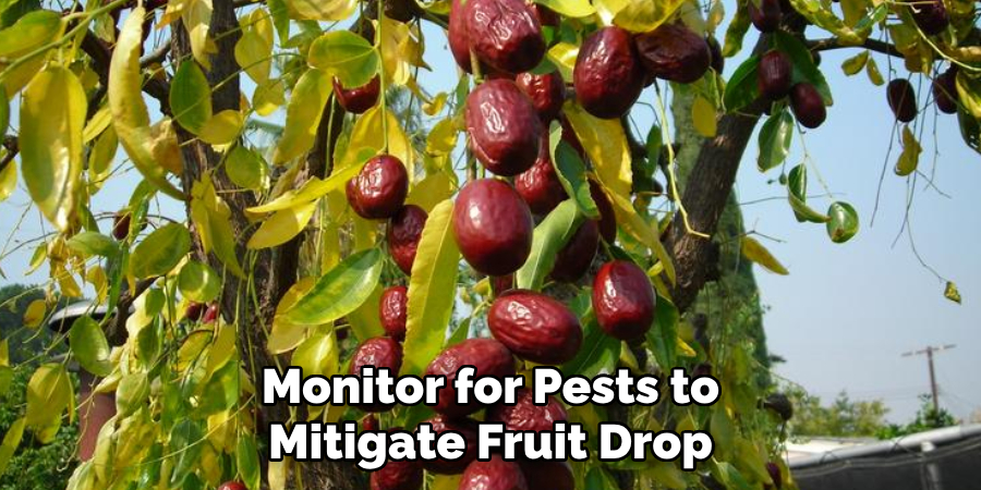 Monitor for Pests to
Mitigate Fruit Drop