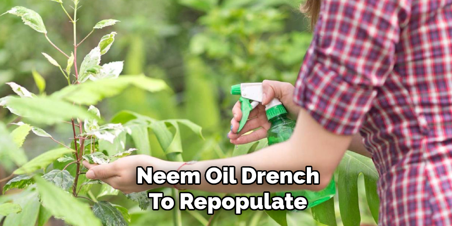 Neem Oil Drench
To Repopulate