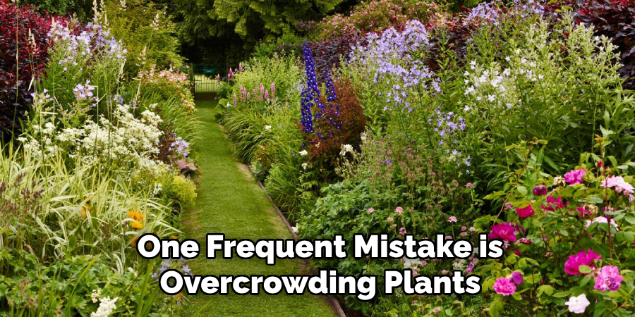 One Frequent Mistake is
Overcrowding Plants