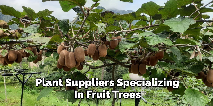 Plant Suppliers Specializing In Fruit Trees