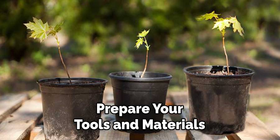 Prepare Your Tools and Materials