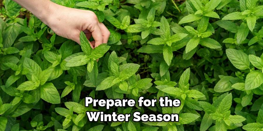 Prepare for the Winter Season
