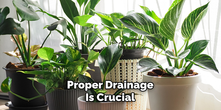 Proper Drainage
Is Crucial