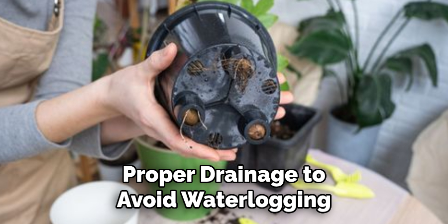 Proper Drainage to
Avoid Waterlogging
