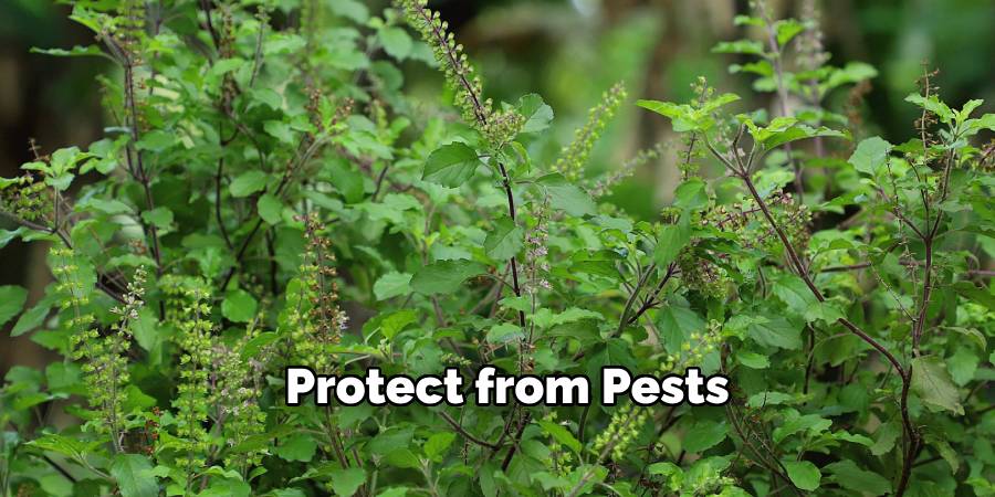  Protect from Pests