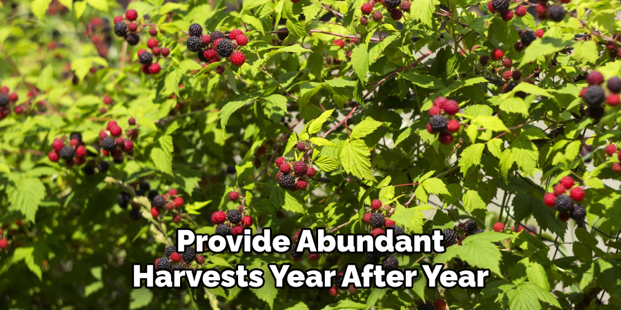 Provide Abundant
Harvests Year After Year