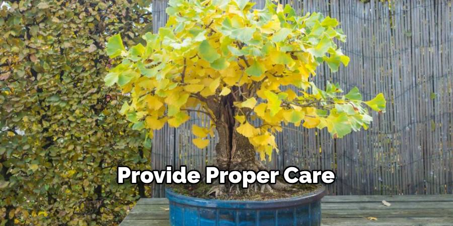 Provide Proper Care