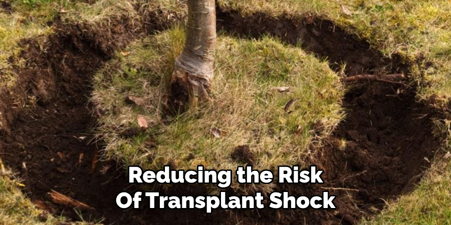 Reducing the Risk
Of Transplant Shock