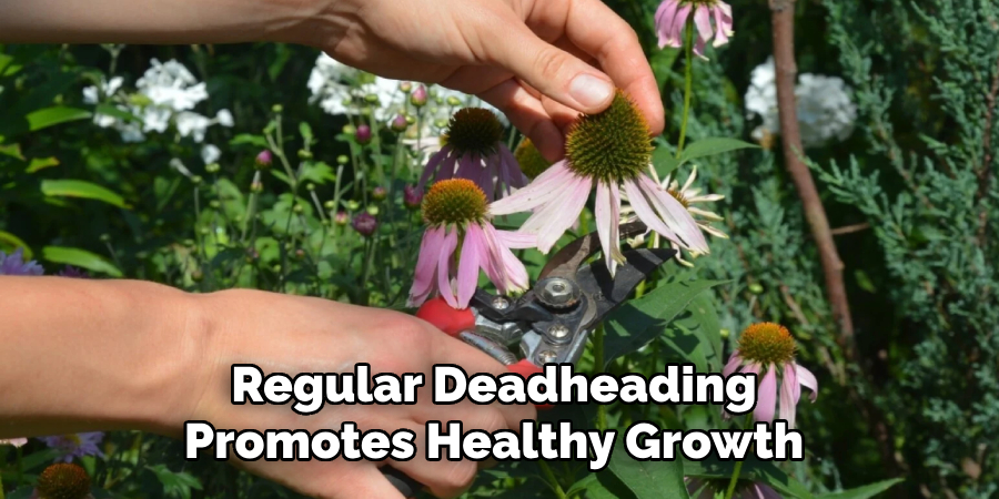 Regular Deadheading Promotes Healthy Growth